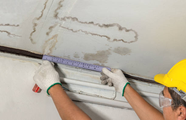 Affordable Water Damage Repair solutions in Vauxhall, NJ
